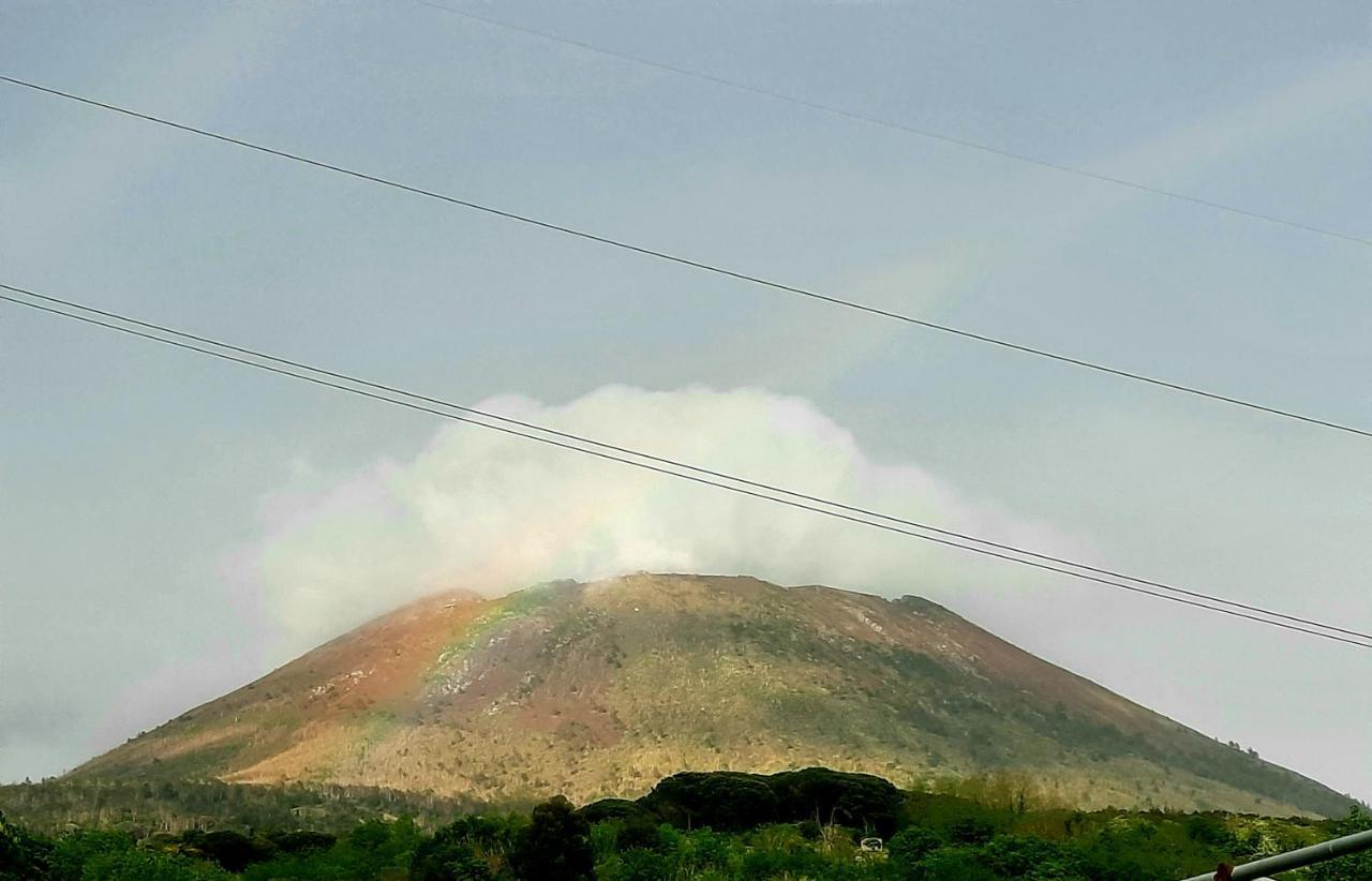 B&B Ioli Vesuvio エルコラーノ エクステリア 写真