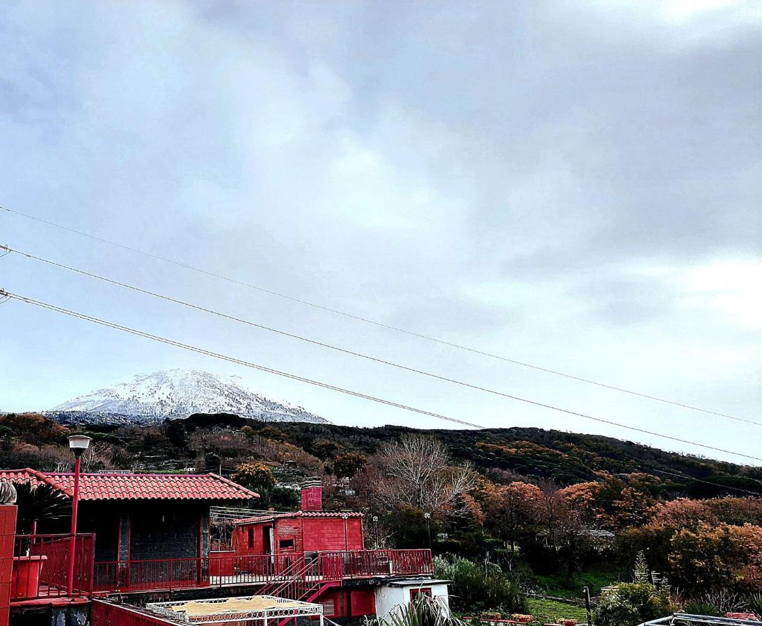 B&B Ioli Vesuvio エルコラーノ エクステリア 写真
