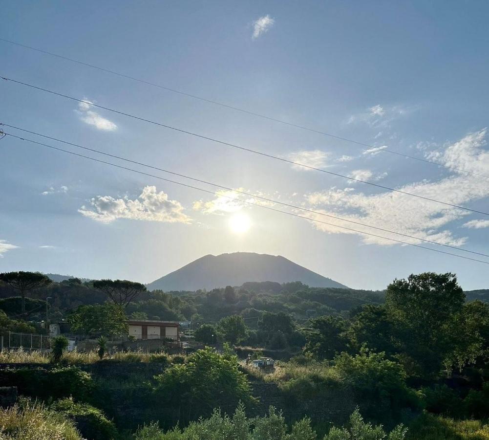 B&B Ioli Vesuvio エルコラーノ エクステリア 写真
