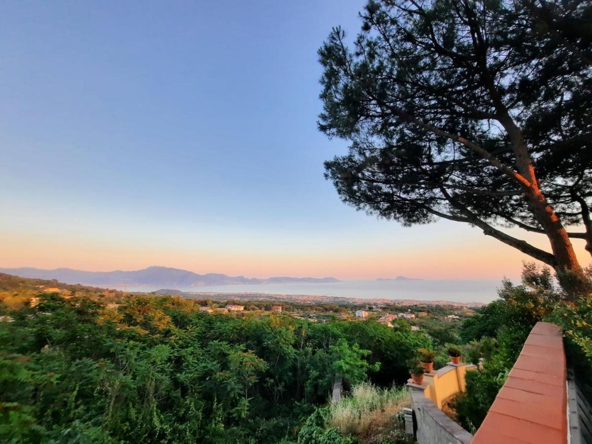 B&B Ioli Vesuvio エルコラーノ エクステリア 写真