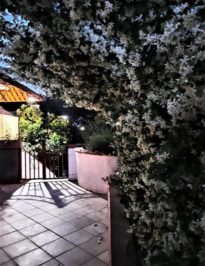 B&B Ioli Vesuvio エルコラーノ エクステリア 写真