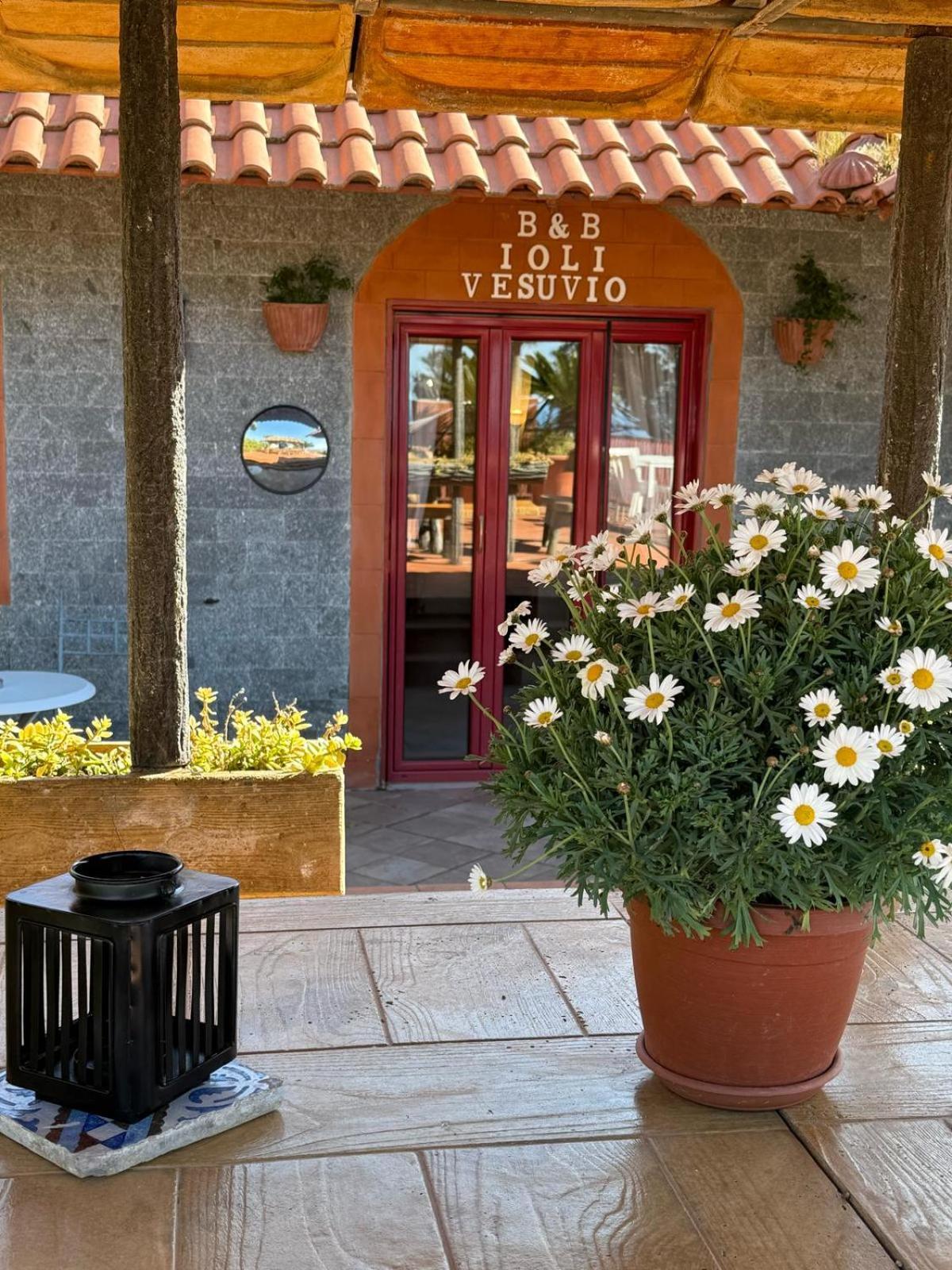 B&B Ioli Vesuvio エルコラーノ エクステリア 写真